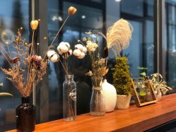 -菲林婚纱摄影工作室