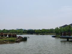 -上海鲜花港