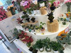 -摩登百货(岗顶店)