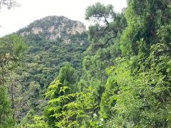 -北京上方山国家森林公园