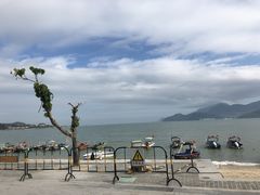 -杨梅坑