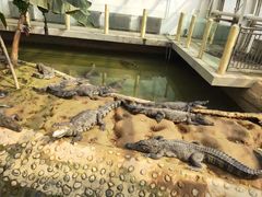 -石家庄市动物园