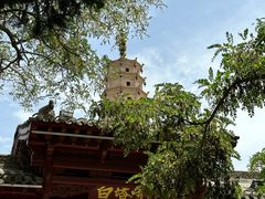 -白塔山公园