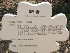 -洨河生态公园