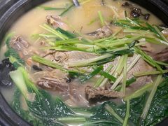 -陈江波老鸭煲(化工路店1号店)