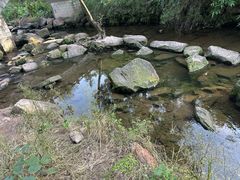 -重庆彩云湖湿地公园