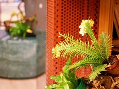 -二酉书店TOYOU BOOKS