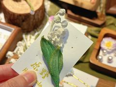-友谊阳光城
