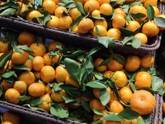 -水果天空(东葛店)