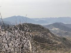 -定都峰