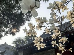 -万寿八仙宫