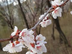 -哈尔滨师范大学(松北校区)