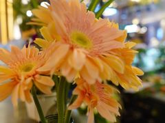 -茶马花街(城西银泰城店)