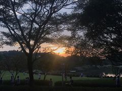 -东莞植物园