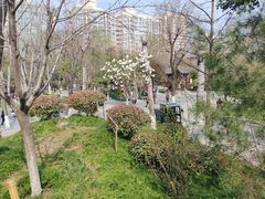 -莲湖公园