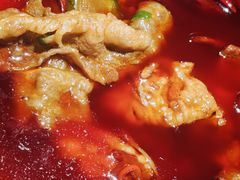 -小龙坎火锅(全球总店)