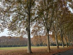 -河南省黄河迎宾馆