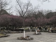 -太子山公园(园东路)