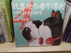 -猫的天空之城概念书店(杭州南宋御街店)