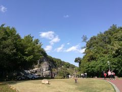 -金鸡山公园