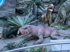 -国家自然博物馆