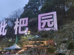 -枇杷园食为鲜火锅(南山店)