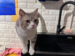 -平行世界·猫咖(首经贸店)
