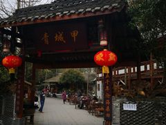 -青城甲(青城山店)