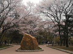 -吉林大学(南岭校区)