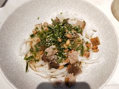 -MR鹅外