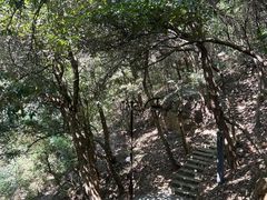 -杭州半山国家森林公园