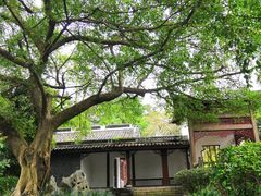 -柳侯公园