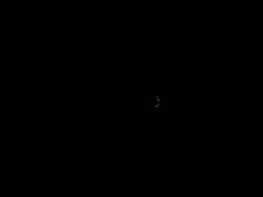 -紫霞湖公园