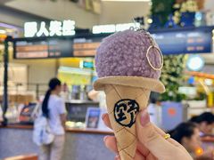 -野人先生Gelato(上海长宁龙之梦店)