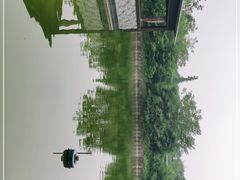 -老杨砂锅鱼庄
