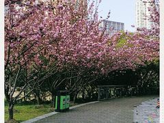 -苏州河梦清园环保主题公园