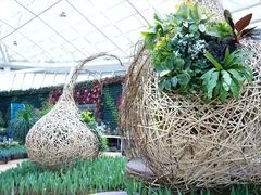 -石家庄市植物园