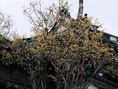 -宁波市保国寺古建筑博物馆