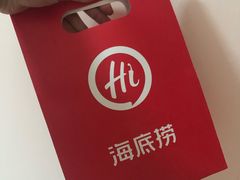 -海底捞火锅(公益西桥店)