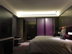 -南京禄口机场雅高铂尔曼大酒店