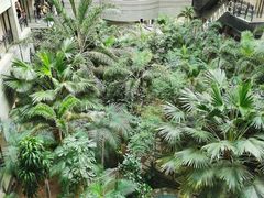 -黑龙江中医药大学附属第一医院