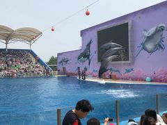 -北戴河圣蓝海洋公园