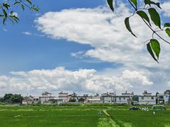 -喜林苑·稻田餐厅(品相府店)