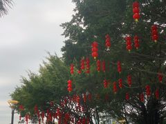 -华侨公园