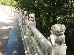 -石岛赤山风景区