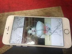-Apple Store苹果手机电脑售后维修中心(浦东店)