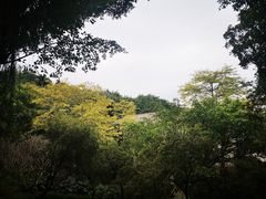 -广州雕塑公园