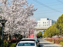 -外高桥保税区南(地铁站)