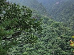 -小陇山国家森林公园桃花沟景区