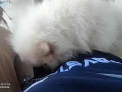 -怪兽屋·羊驼·猫咖·狗咖(俊华广场店)